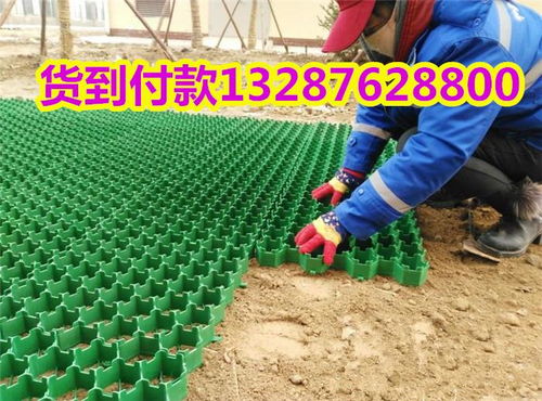 五蓮縣防護排水異形板自粘土工布 技術創新助力綠色營林與木竹采伐機械制造產業升級